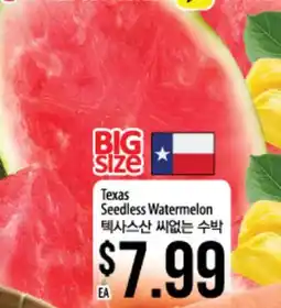 Texas Seedless Watermelon