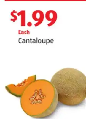 Aldi Cantaloupe offer
