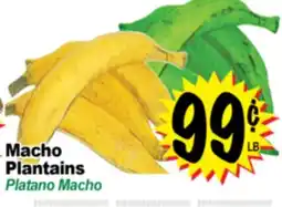 Superior Grocers Macho Plantains offer