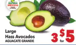 Vallarta Supermarkets Large Hass Avocados / AGUACATE GRANDE offer