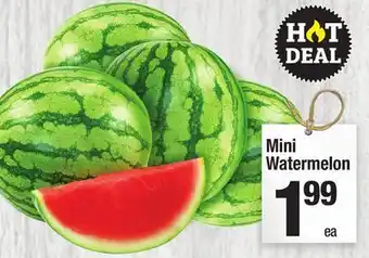 Super King Markets Mini Watermelon offer