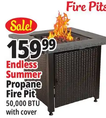 Ocean State Job Lot Endless Summer Propane Fire Pit offer