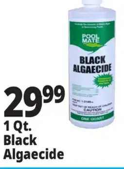 Ocean State Job Lot Pool Mate Black Algaecide 1 Qt offer