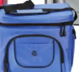 Ocean State Job Lot North Peak Hard Lined Cooler 9-can offer