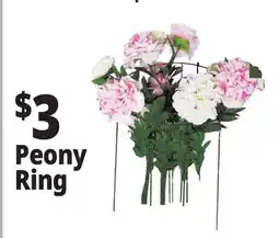 Ocean State Job Lot Single Ring Plant Support offer