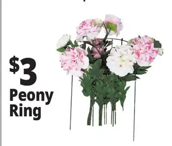 Ocean State Job Lot Single Ring Plant Support offer