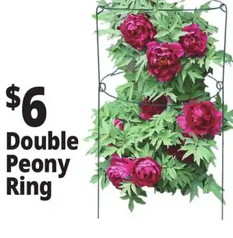 Ocean State Job Lot Peony Double Ring Plant Support 18 x 36 offer