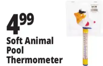 Ocean State Job Lot SwimWorks Deluxe Floating Thermometer offer