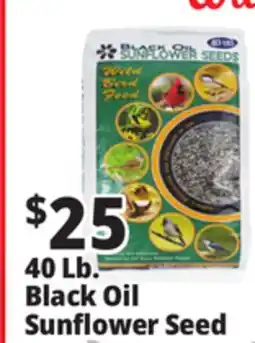 Ocean State Job Lot Black Oil Sunflower Seeds 40 lbs offer