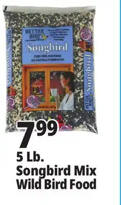 Ocean State Job Lot Better Bird Songbird Better Blends Food 5 lbs offer