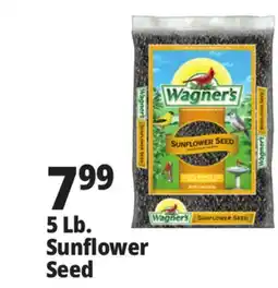 Ocean State Job Lot Wagner's Black Oil Sunflower Seed Wild Bird Food 5 lbs offer