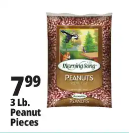 Ocean State Job Lot Morning Song Wildlife Food Peanuts 3 lbs offer