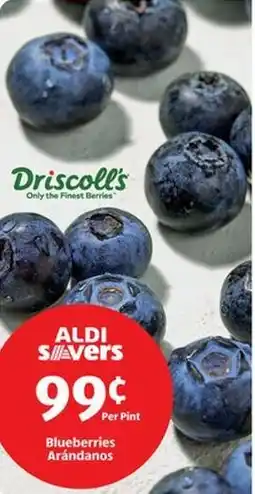 Aldi Blueberries offer