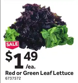 Stop&Shop Red or Green Leaf Lettuce offer