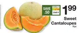 The Fresh Grocer Sweet Cantaloupes offer