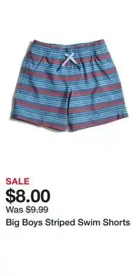 TJ Maxx Big Boys Striped Swim Shorts offer
