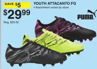 Dunham's Sports YOUTH ATTACANTO FG offer