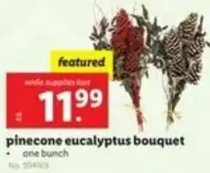Lidl Pinecone Cucalyptus Bouquet offer