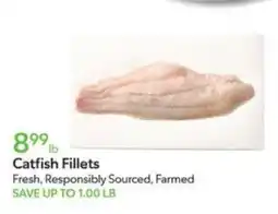 Publix Catfish Fillets offer