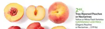 Publix Tree-Ripened Peaches offer