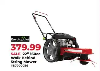 Runnings 22 160cc Walk Behind String Mower offer