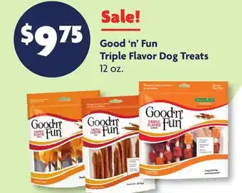 Family Dollar Good'n'Fun Triple Flavor Dog Treats offer