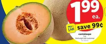 Lidl cantaloupe offer