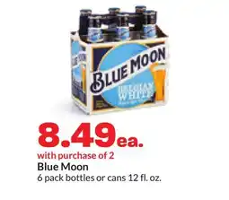 Hy-Vee Blue Moon offer