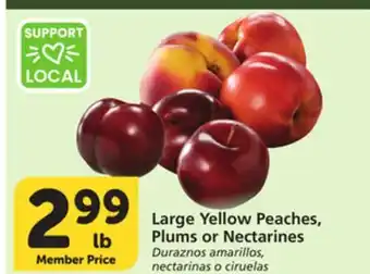 Vons Large Yellow Peaches, Plums or Nectarines offer