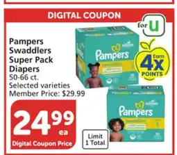 Albertsons Pampers Swaddlers Super Pack Diapers offer