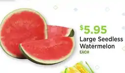 Heinen's Large Seedless Watermelon offer