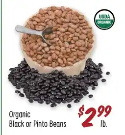 Sprouts Farmers Market Organic Black or Pinto Beans offer