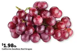 Fareway California Seedless Red Grapes offer