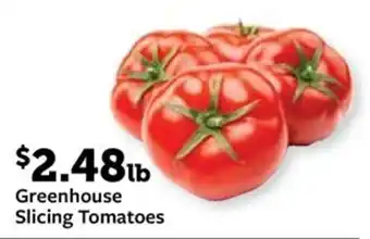 Fareway Greenhouse Slicing Tomatoes offer