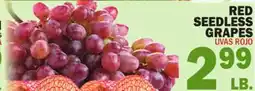 Bravo Supermarkets RED SEEDLESS GRAPES offer