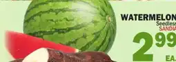 Bravo Supermarkets WATERMELON offer