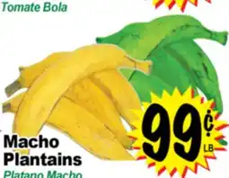 Superior Grocers Macho Plantains offer