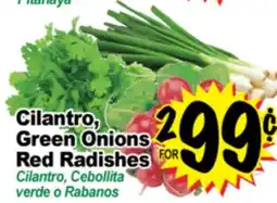 Superior Grocers Cilantro Green Onions Red Radishes offer