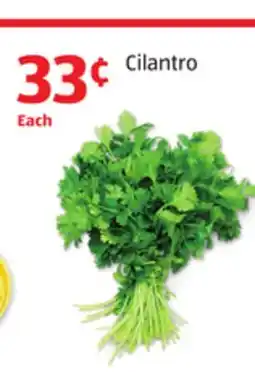 Aldi Cilantro offer