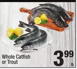 Super King Markets Whole Catfish or Trout offer