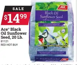 Ace Hardware Ace Black Oil Sunflower Seed 20 Lb offer