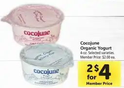 Safeway Cocojune Organic Yogurt offer