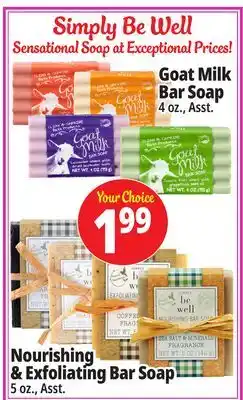 Ocean State Job Lot Simply Be Well Soap offer