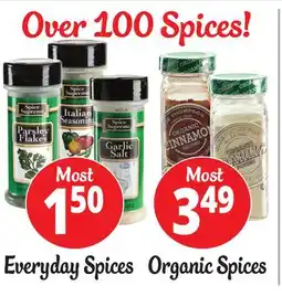 Ocean State Job Lot Spices offer