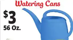 Ocean State Job Lot Watering Can offer