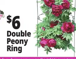 Ocean State Job Lot Double Peony Ring offer