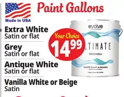 Ocean State Job Lot Paint Gallons offer
