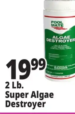 Ocean State Job Lot Pool Mate Algae Destroyer 2 lbs offer
