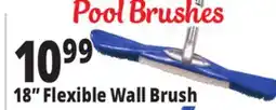 Ocean State Job Lot SwimWorks Flexible Wall Brush offer
