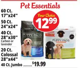 Ocean State Job Lot Puppy Pads offer